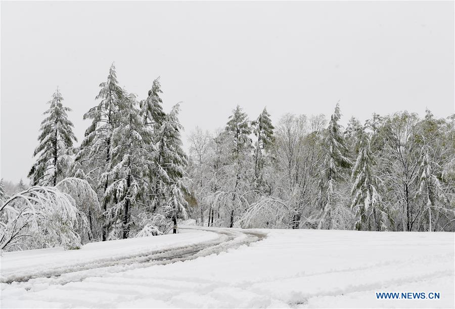 CHINA-INNER MONGOLIA-SNOW (CN)