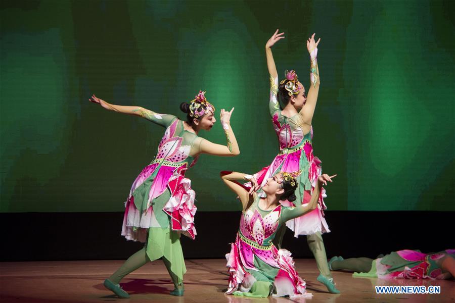 DENMARK-COPENHAGEN-GALA PERFORMANCE-CHINESE SPRING FESTIVAL