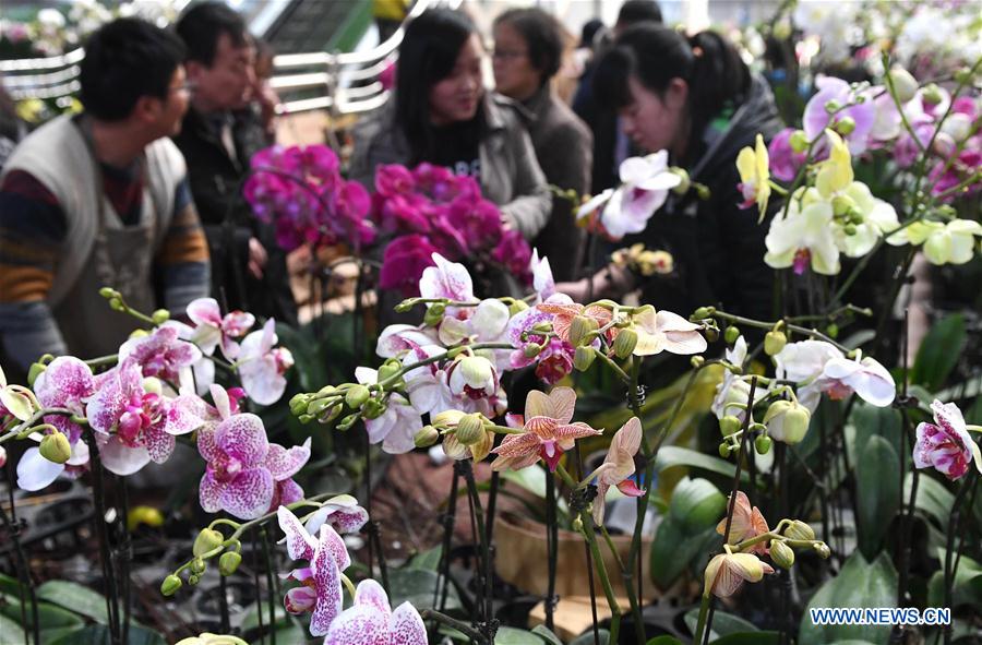 CHINA-YUNNAN-FLOWER INDUSTRY (CN)