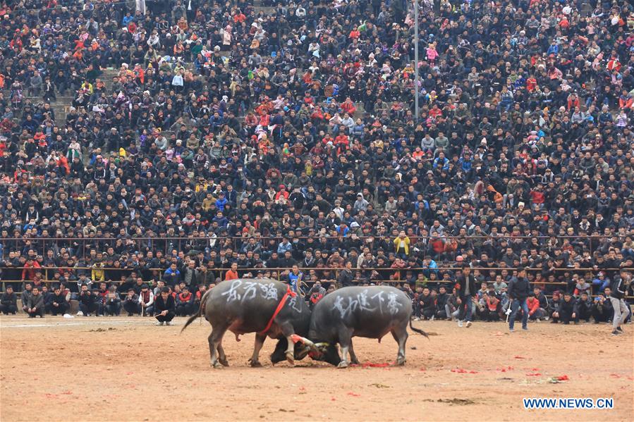 #CHINA-CHINESE NEW YEAR-CELEBRATION(CN)