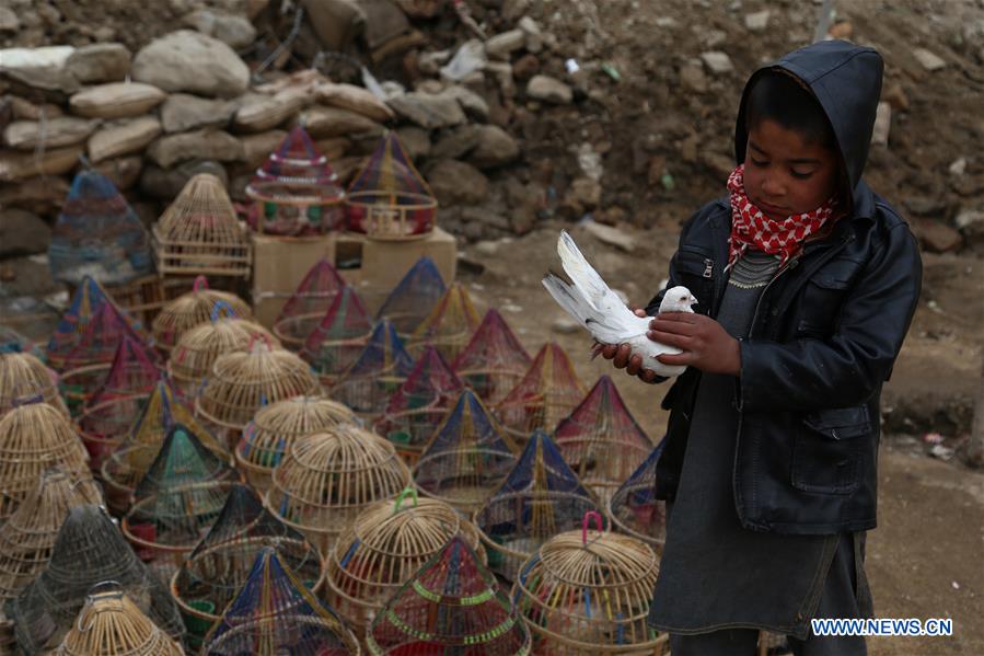 AFGHANISTAN-GHAZNI-DAILY LIFE