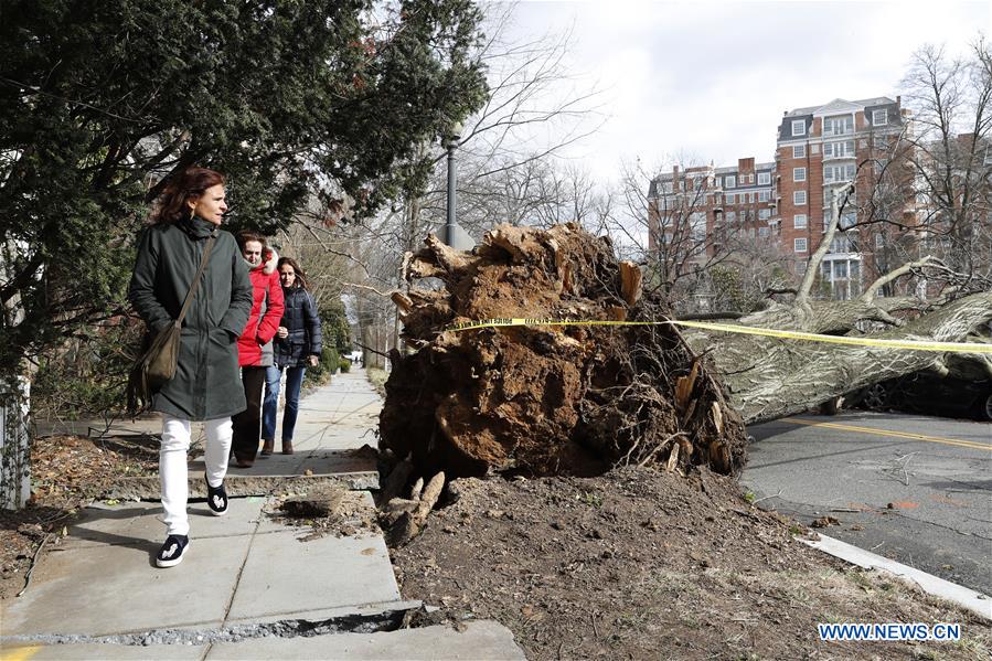 U.S.-WASHINGTON D.C.-WINDSTORM