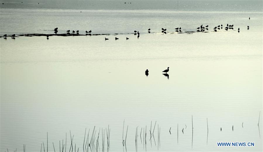 CHINA-YUNNAN-NIANHU LAKE(CN)