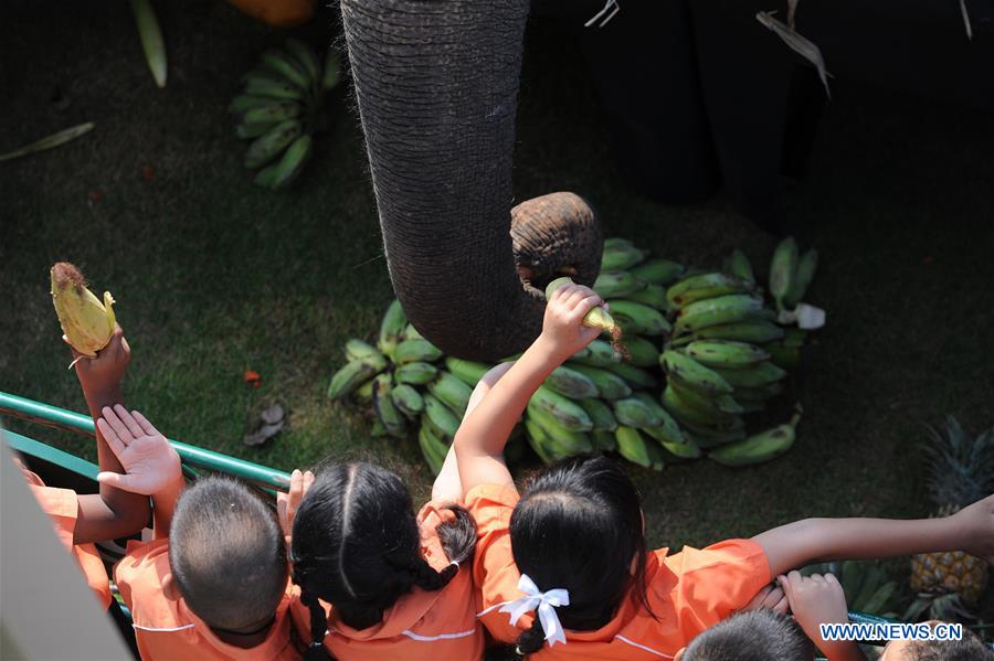 THAILAND-BANGKOK-ELEPHANT POLO