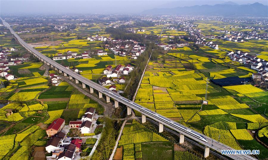 CHINA-SHAANXI-HANZHONG-RAPESEED FLOWER (CN)