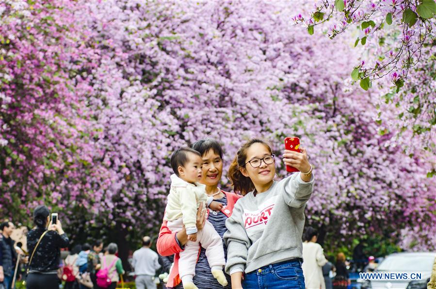 #CHINA-SPRING-BLOSSOMS (CN)