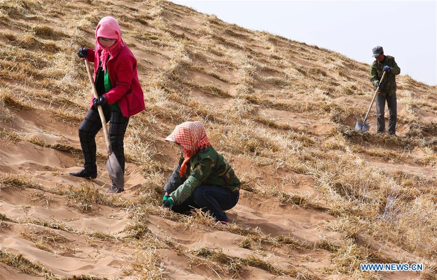 #CHINA-GANSU-DESERT CONTROL (CN)