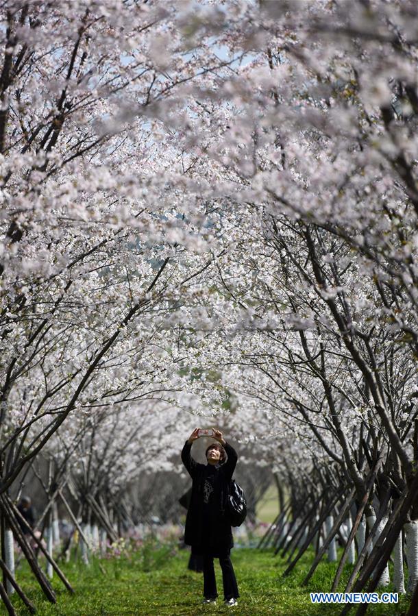 CHINA-ZHEJIANG-SPRING SCENERY(CN)