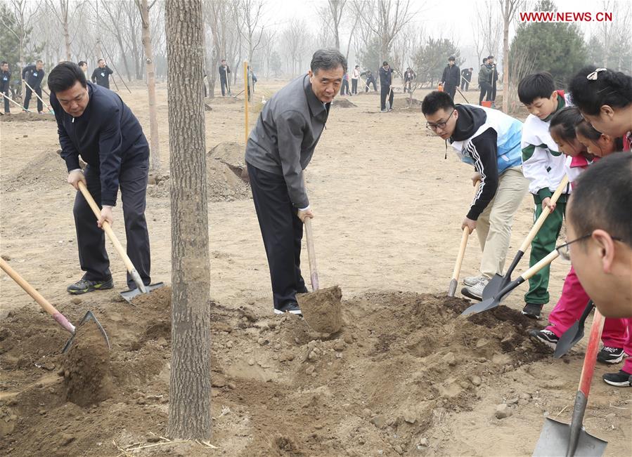 CHINA-BEIJING-LEADERS-TREE PLANTING (CN)