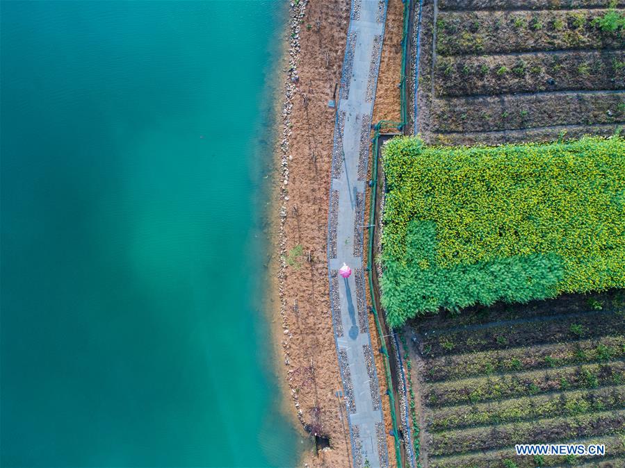 CHINA-ZHEJIANG-SPRING-SCENERY (CN)