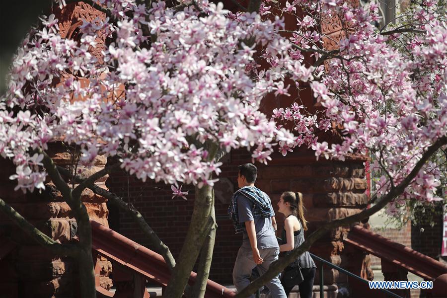 U.S.-PHILADELPHIA-SPRING-BLOSSOM