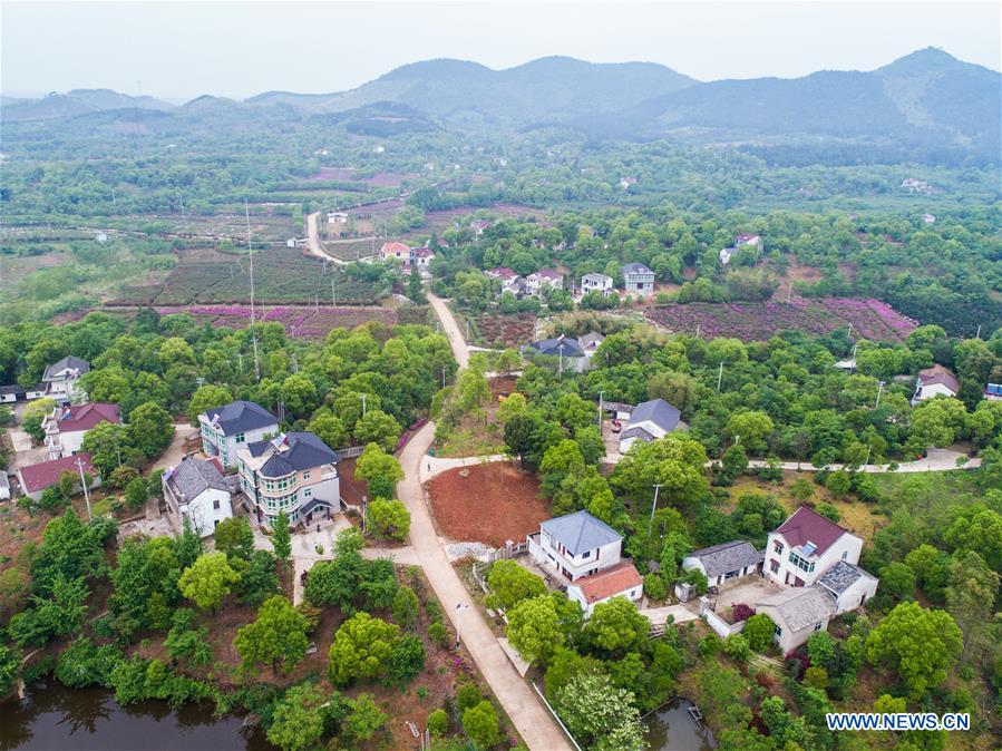 CHINA-ZHEJIANG-VILLAGE-OVERHAUL-LIVING ENVIRONMENT (CN)