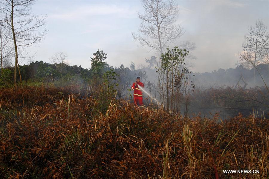 INDONESIA-RIAU-PEATLAND FIRE