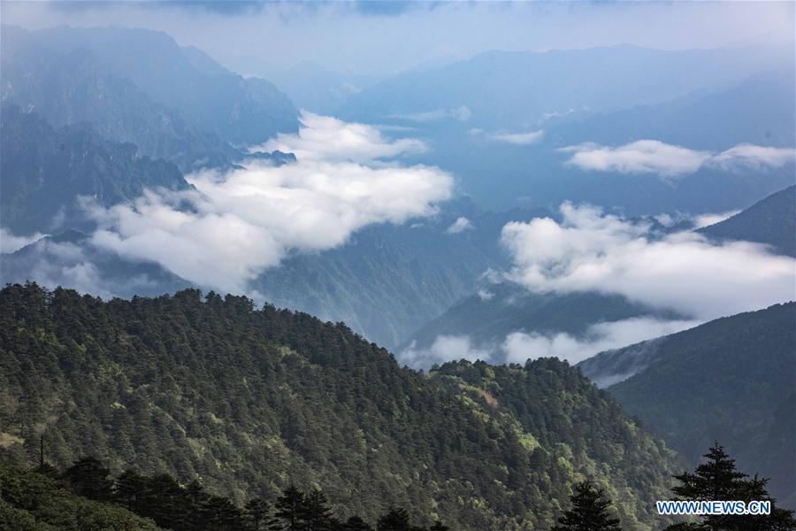 CHINA-HUBEI-SHENNONGJIA-SCENERY (CN)