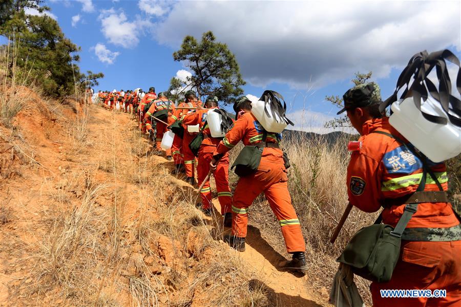 #CHINA-YUNNAN-DALI-FOREST FIRE(CN*)