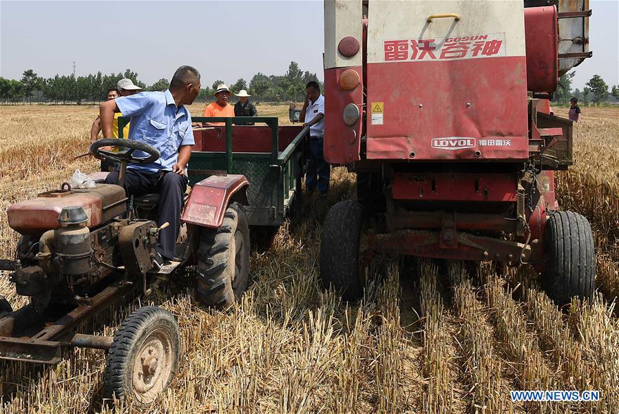 CHINA-HENAN-TAXI DRIVER-WHEAT HARVEST (CN)