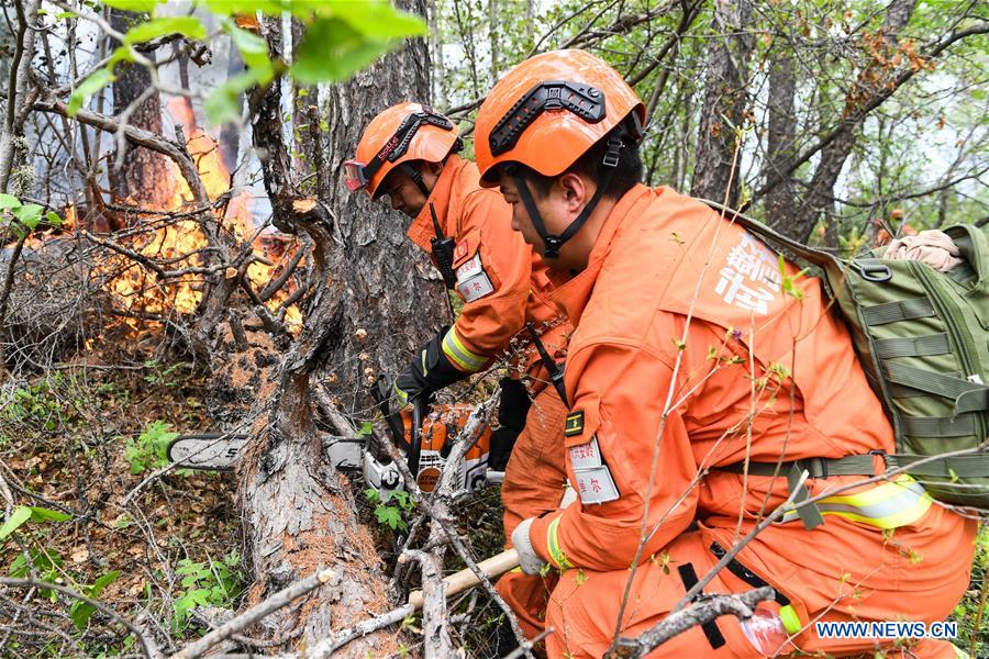 CHINA-INNER MONGOLIA-FOREST FIRE (CN)