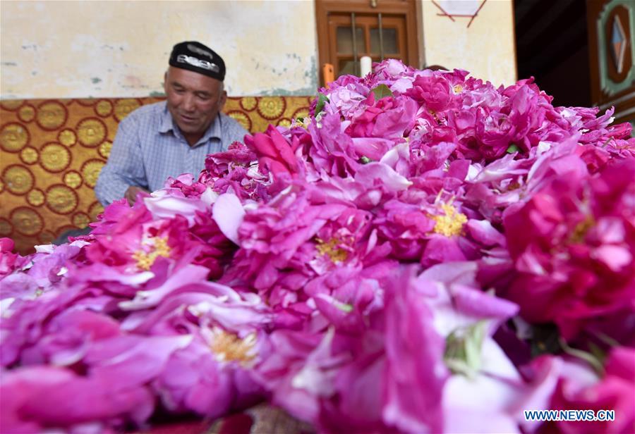 CHINA-XINJIANG-HOTAN-FARMER-INDUSTRY INCOME (CN) 