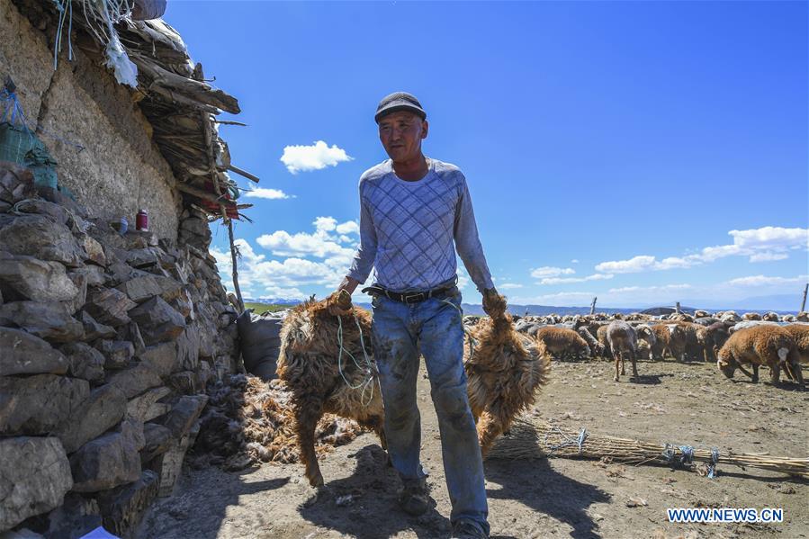 CHINA-XINJIANG-SUMMER PASTURE-TRANSFER (CN)