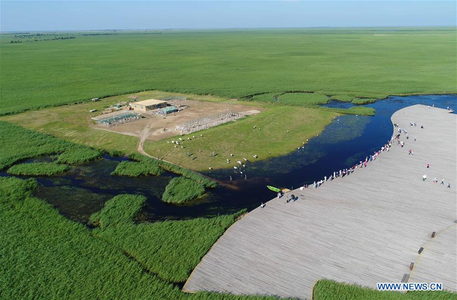 CHINA-HEILONGJIANG-QIQIHAR-NATURE RESERVE (CN)