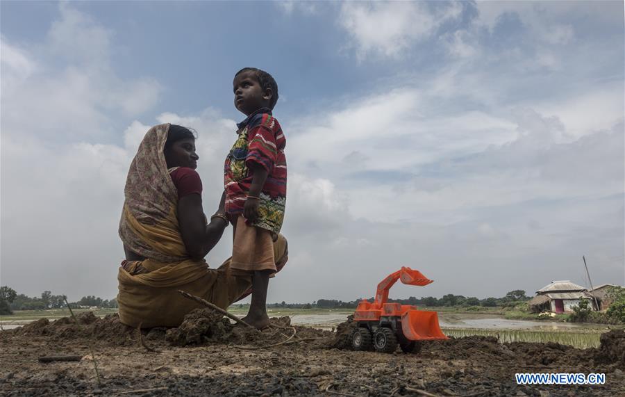 INDIA-KOLKATA-AGRICULTURE-PADDY FIELD