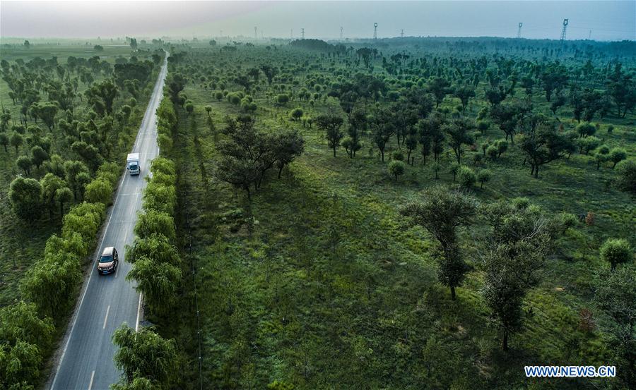 CHINA-SHAANXI-YULIN-MAOWUSU DESERT-FORESTATION (CN)