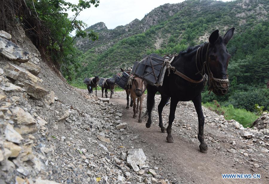 CHINA-BEIJING-ANCIENT GREAT WALL-REPAIR (CN)