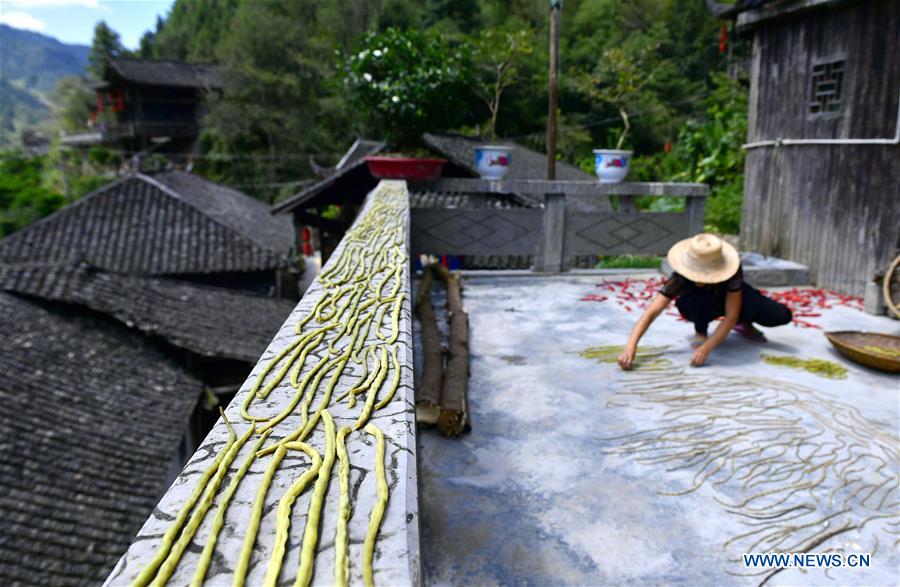 #CHINA-HUBEI-ENSHI-HARVEST (CN)