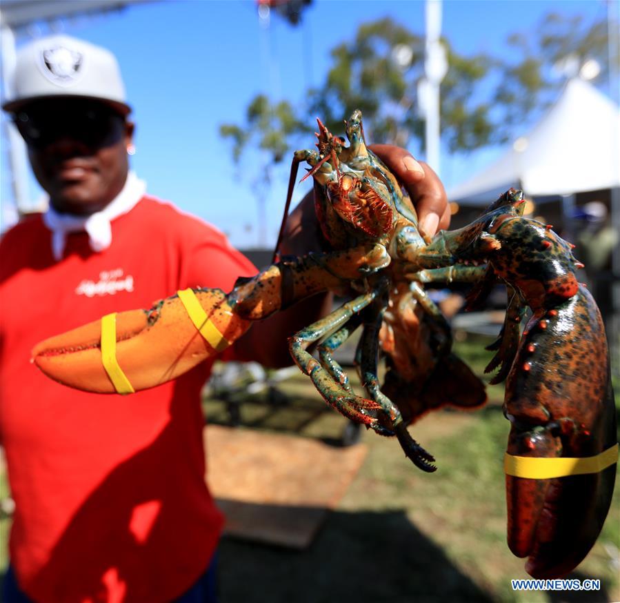 U.S.-LOS ANGELES-LOBSTER FESTIVAL