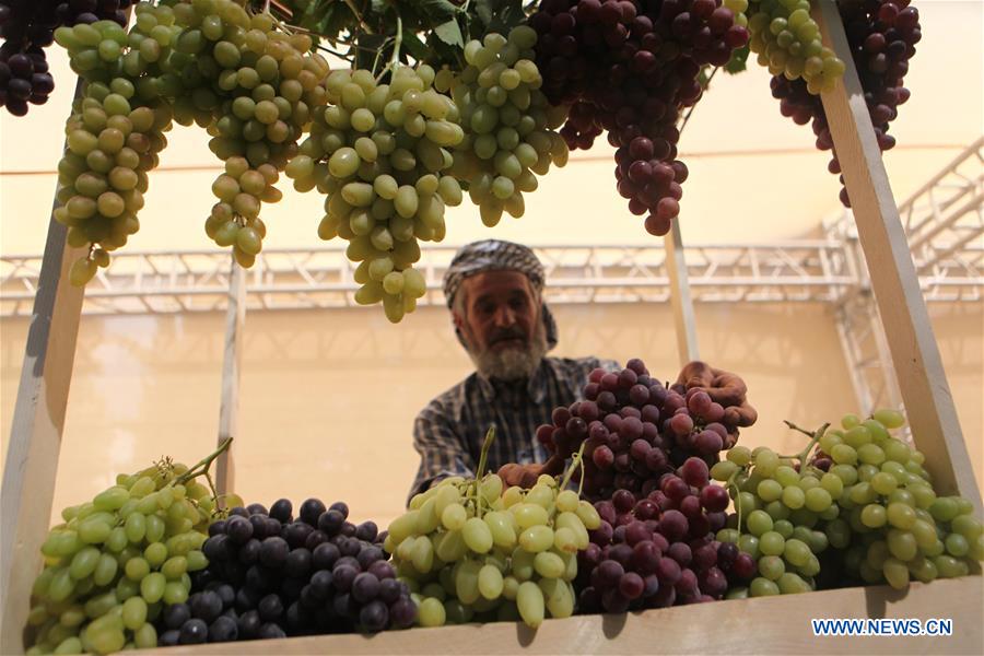 MIDEAST-HEBRON-GRAPES FESTIVAL