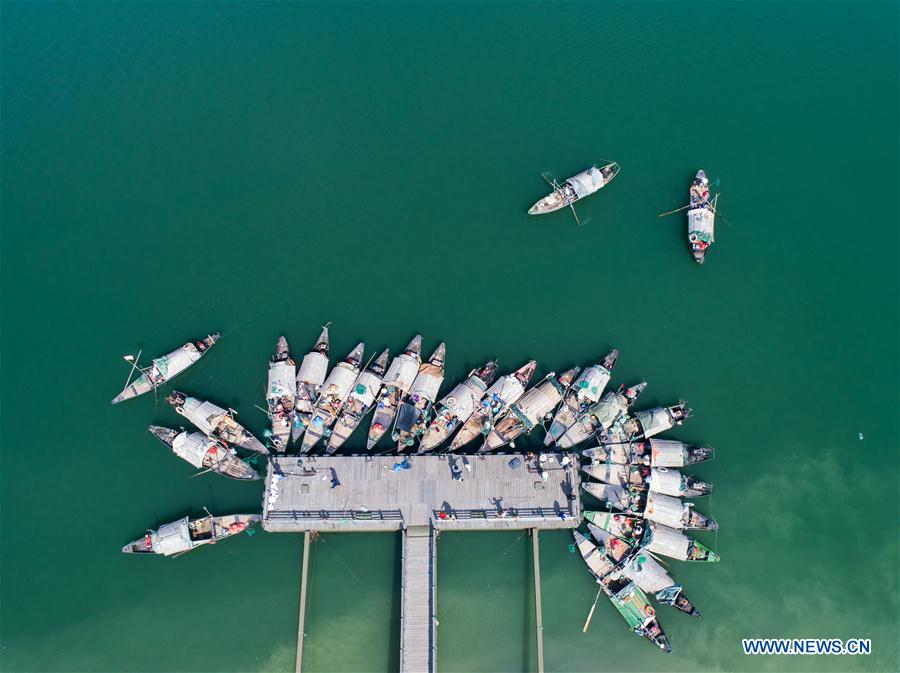 CHINA-ZHEJIANG-HANGZHOU-FISHERY-HARVEST (CN)