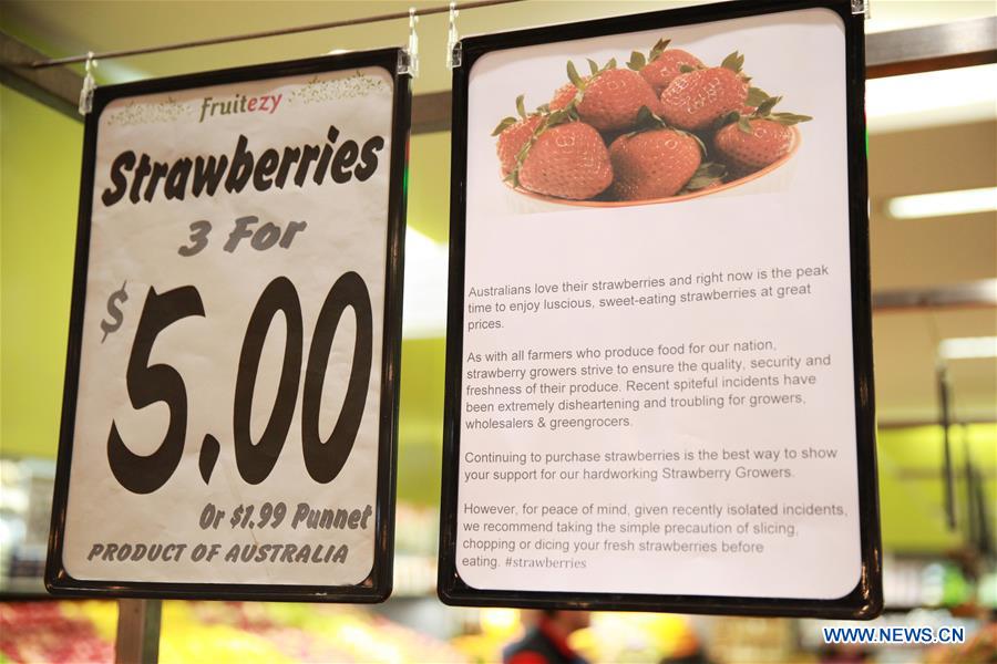 AUSTRALIA-SYDNEY-NEEDLES-STRAWBERRIES