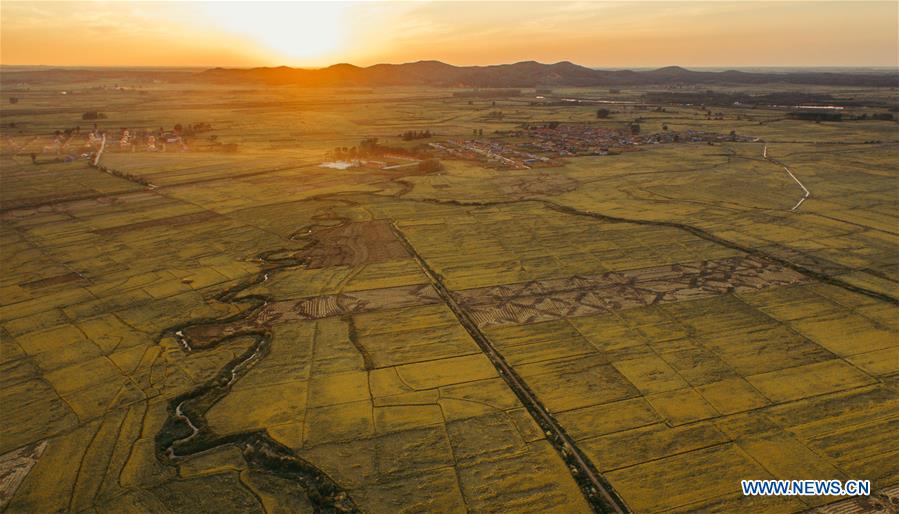 CHINA-JILIN-RICE-HARVEST (CN)