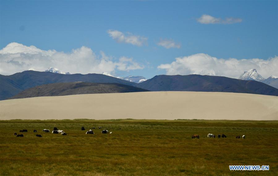 CHINA-TIBET-YARLUNG ZANGBO RIVER-SOURCE-PROTECTION (CN)