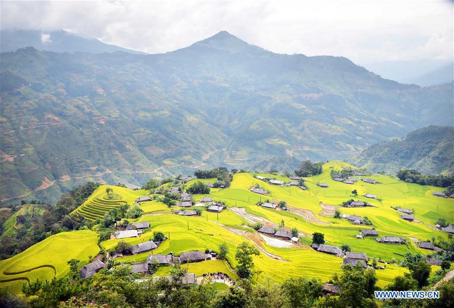 VIETNAM-HA GIANG-TERRACE-SCENERY