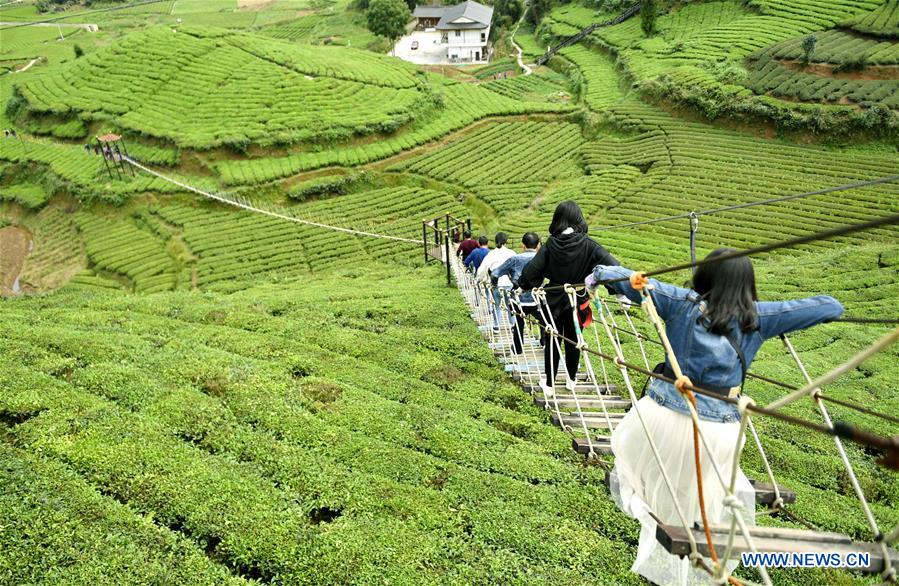 #CHINA-HUBEI-XUAN'EN-TEA GARDEN (CN)