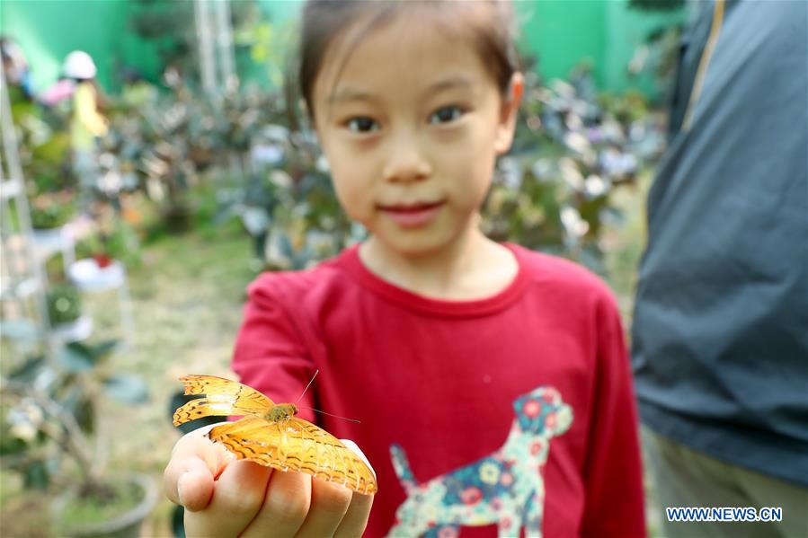 CHINA-BEIJING-INSECT-FAIR (CN)