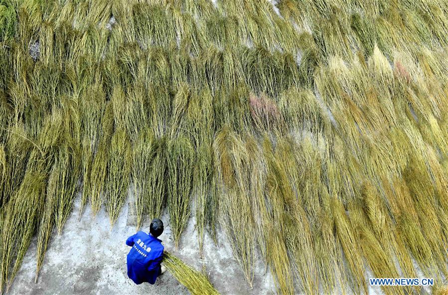 #CHINA-HUBEI-ENSHI-BROOMSTICK-ARTISAN (CN)