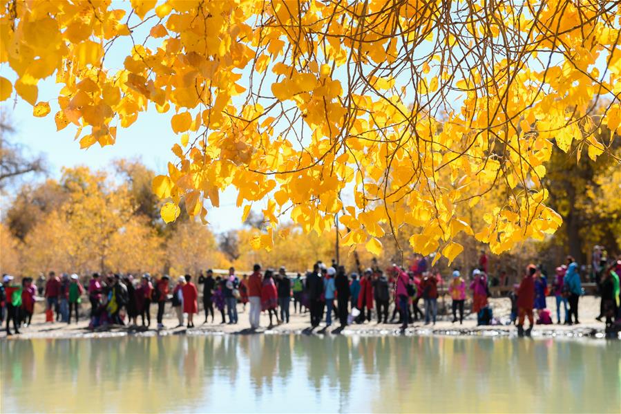 CHINA-INNER MONGOLIA-POPULUS EUPHRATICA-SCENERY (CN) 