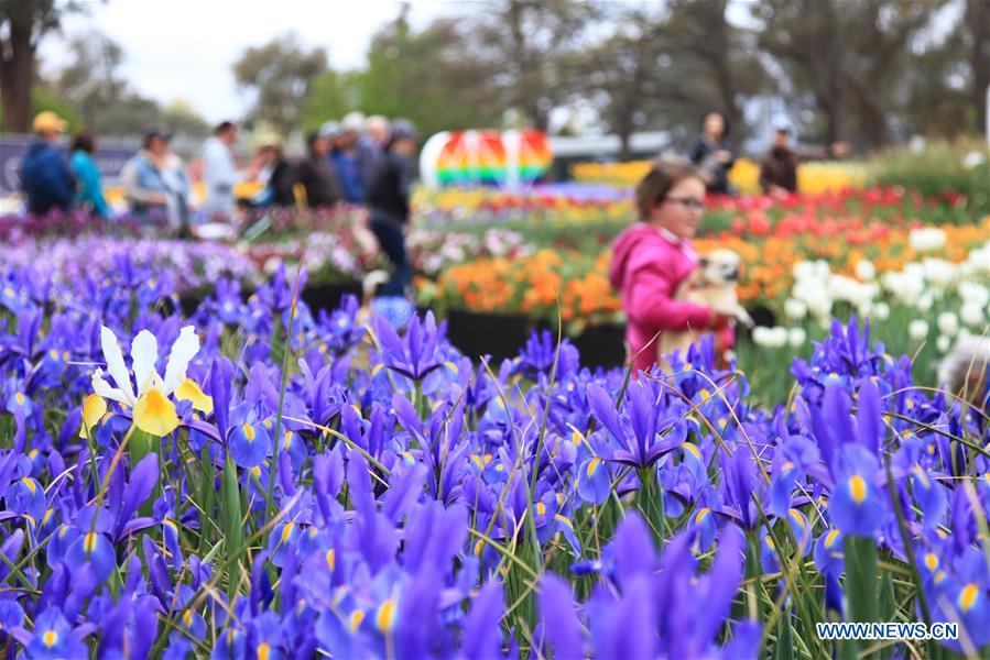 AUSTRALIA-CANBERRA-FLORIADE-CLOSE