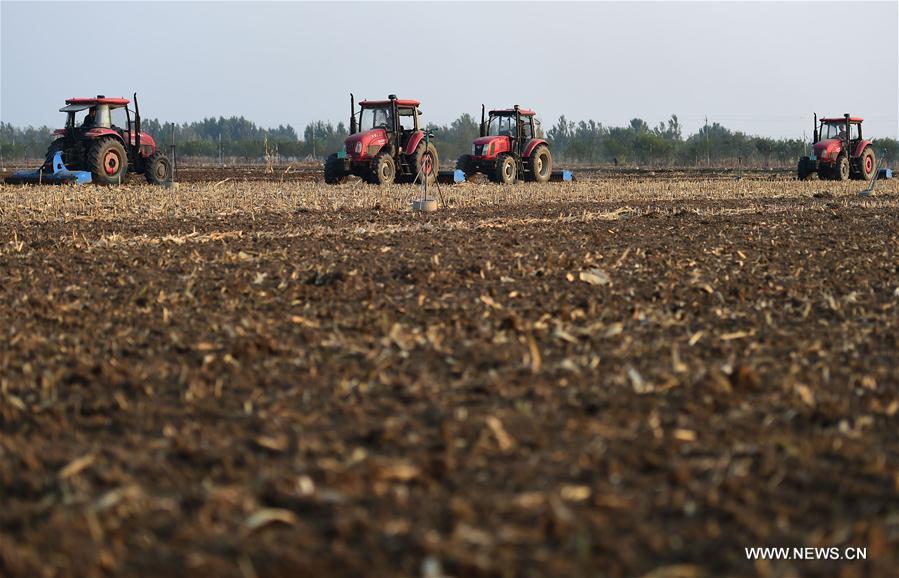 #CHINA-FARMING-SHUANGJIANG (CN) 