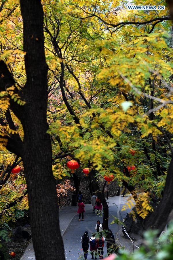 CHINA-BEIJING-BADACHU-AUTUMN SCENERY(CN)