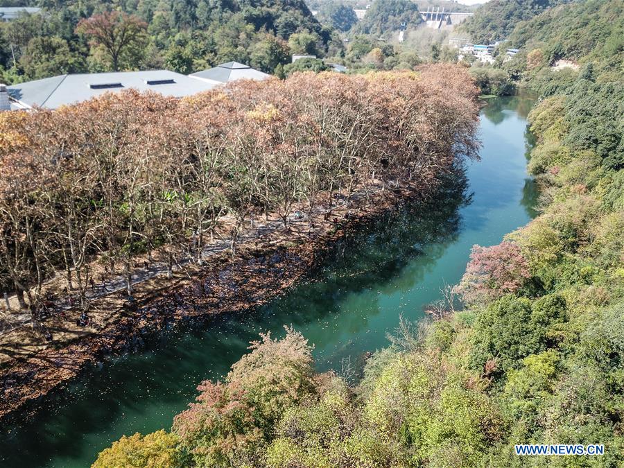 CHINA-GUIZHOU-GUIYANG-WETLAND PARK-AUTUMN SCENERY (CN)