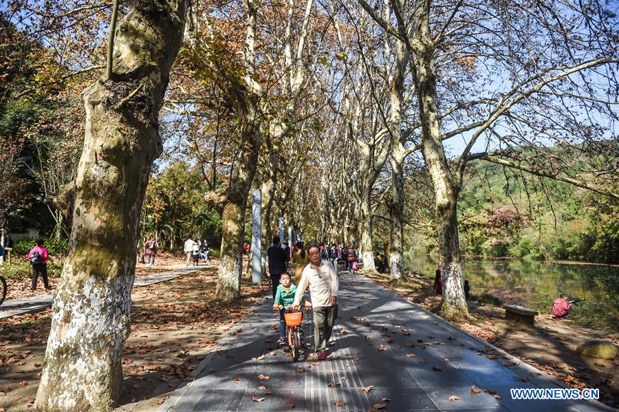 CHINA-GUIZHOU-GUIYANG-WETLAND PARK-AUTUMN SCENERY (CN)