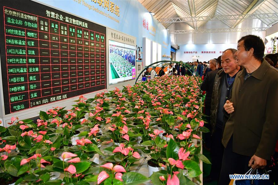 CHINA-SHAANXI-YANGLING-AGRICULTURE-FAIR (CN)