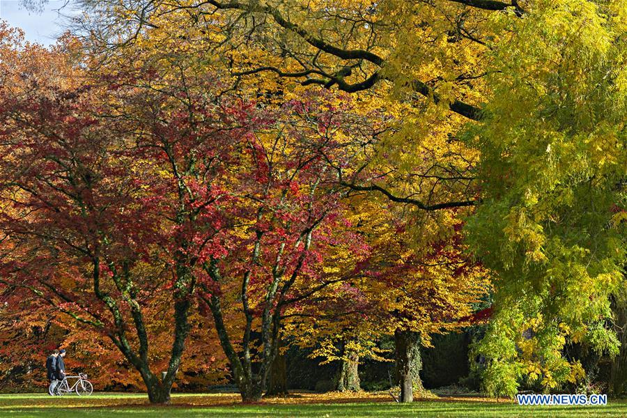 SWITZERLAND-ZURICH-AUTUMN