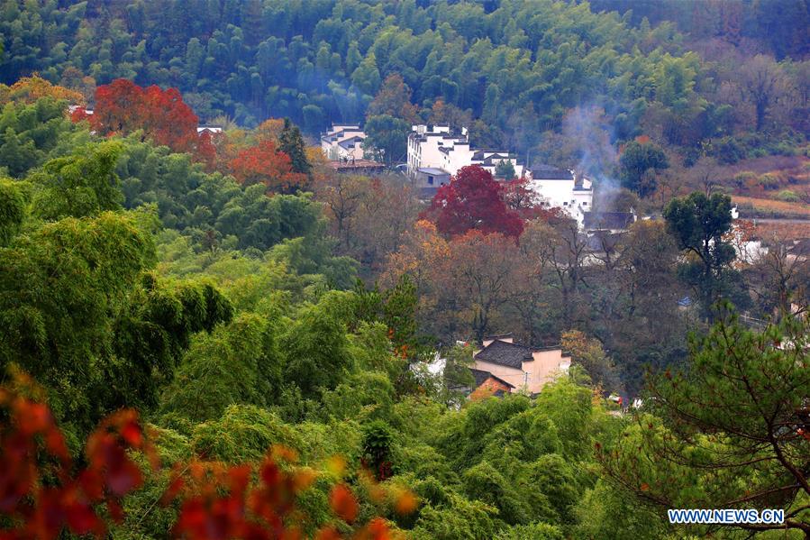 #CHINA-ANHUI-RURAL SCENERY (CN)