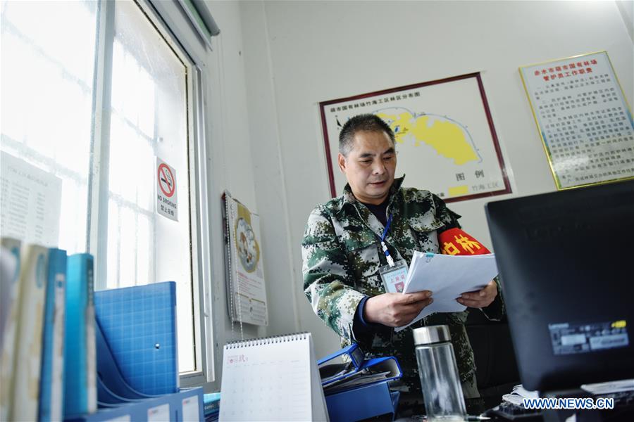 CHINA-GUIZHOU-BAMBOO FOREST-RANGERS (CN)