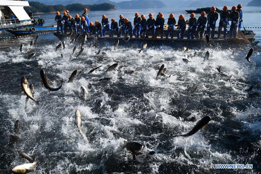 CHINA-HANGZHOU-QIANDAO LAKE-FISHING (CN)