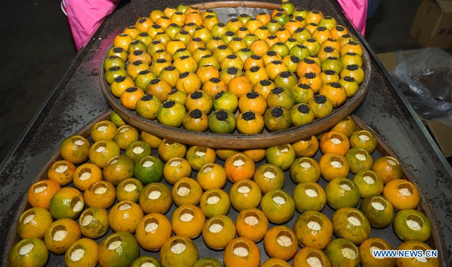 CHINA-GUANGDONG-JIANGMEN-TANGERINE-HARVEST(CN)